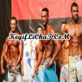 Vücut Geliştirme Sporu